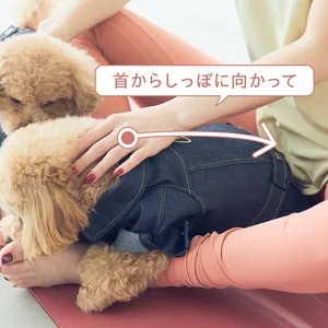 ドッグマッサージ　体温と呼吸を感じる背中さすり①