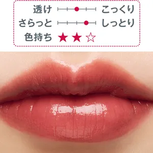秋新色 リップ ツヤ口紅 est トランスフィア リップスティック EX03