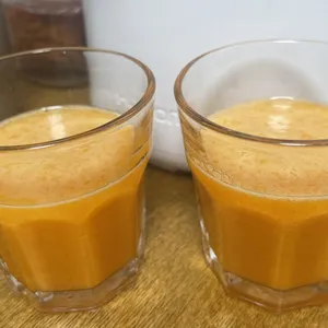 ヒューロム コールドプレスジューサー H70FT 口コミ 使い方