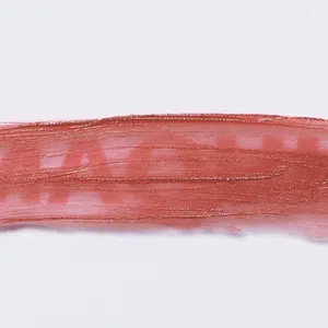 ジバンシイ　ルージュ・ジバンシイ・ベルベット・マット N04の質感をチェック