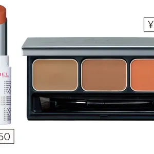 （右）&be パレットアイブロウ オレンジブラウン／Clue　（左）ラスティングフィニッシュ オイルティントリップ 010／リンメル