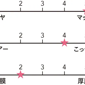 ジバンシイ　ルージュ・ジバンシイ・ベルベット・マット N04の質感をグラフ化