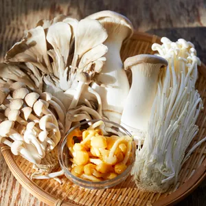 きのこ,きのこレシピ,小林まさる