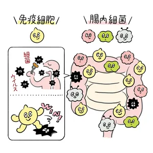 “消化だけじゃない”腸のチカラ。腸と脳の関係から腸活の基本まで、専門家がやさしく解説！