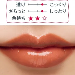 秋新色 リップ ツヤ口紅  メイク  Clé de Peau Beauté ルージュアレーブル 24 2