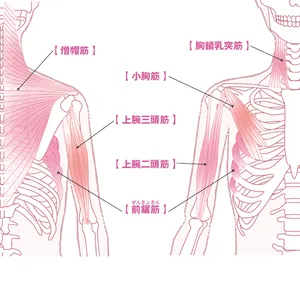 神崎 恵さんの美首&美肩メソッド PhotoGallery_1_2