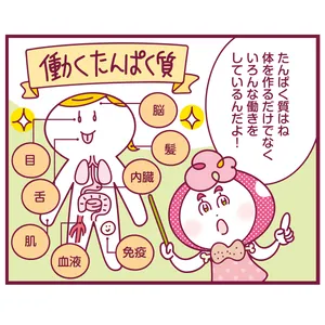 今、断然気になる栄養素「たんぱく質」って何がそんなにスゴイ!?_1_1