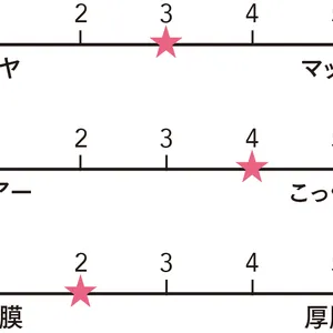 RMK　ベルベットシーン リップカラー 04の質感をグラフ化