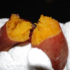 【おすすめの焼き芋】GALLERY_1_7