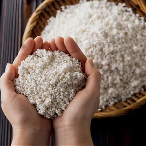 食べて良し、塗って良しの「発酵」の世界を深掘り。肌や体へのメリットを専門家が解説