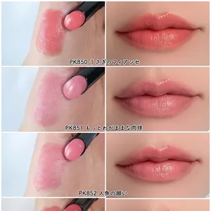 ヴィセ ネンマクフェイク ルージュ Ⅱ 全色スウォッチ