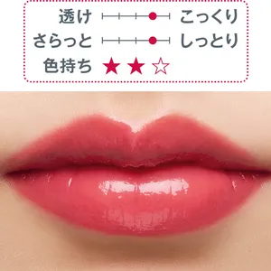 秋新色 リップ ツヤ口紅 PAUL & JOE BEAUTE リップスティック 28 2