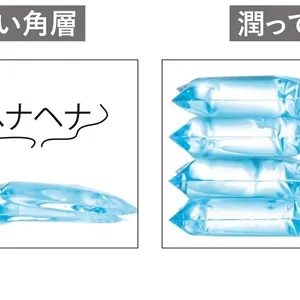 【実験5】角層が潤っているとハリが出る