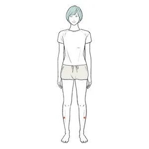 膝と足首の中間で、すねの少し外側にある豊隆（ほうりゅう）というツボ