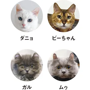 鈴木えみが猫に変身!? 4匹の愛猫も公開 PhotoGallery_1_2