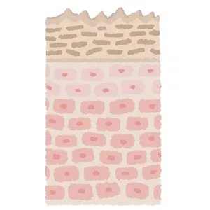 圧迫・摩擦への防御反応で厚く&黒ずんでいく