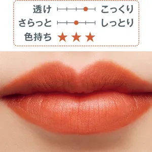 秋 新作 リップ Celvoke リベレイティッド マット リップス N 03　2