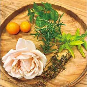 美の競演！ 鈴木えみさん×Kōki,さん PhotoGallery_1_7