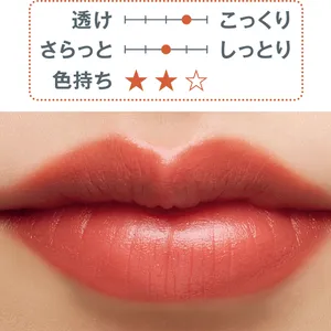 秋 新作 リップ CHANEL ルージュ アリュール ヴェルヴェット 77