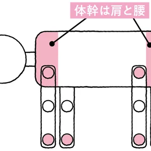 あなたは陰・陽タイプどっち？  正しい体の使い方 PhotoGallery_1_10