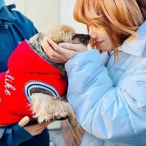 『今日から俺は!!劇場版』にて、山本舞香さんがスケバン・森川涼子役で出演中！