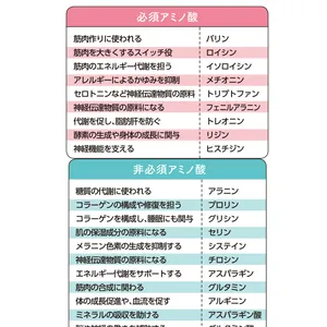 必須アミノ酸＆非必須アミノ酸の種類