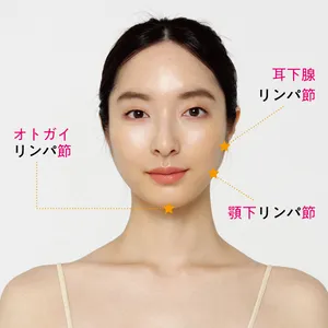 耳下腺リンパ節顎下リンパ節オトガイリンパ節