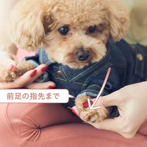 ドッグマッサージ　筋肉を緩める前足マッサージ②