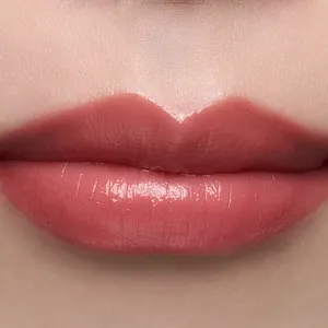 ブルベ夏 リップ おすすめ つけ試し スウォッチ KANEBO カネボウ