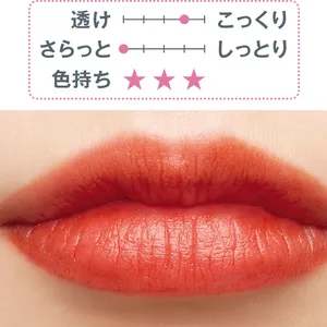 秋 新作 リップ リキッド 　YVES SAINT LAURENT YSL ザ インクス ブラークリーム 237　スウォッチ