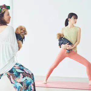 ドッグヨガ　戦士のポーズ②