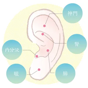 美プロがハマる「耳ツボ美容」を深掘り。耳に刺激を与えることで全身運動級の効果が！