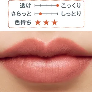 秋 新作 リップ CLARINS ジョリルージュN ベルベット 758V 2