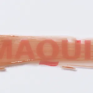 アディクション　ザ リップスティック グレイズドボム 004の質感をチェック