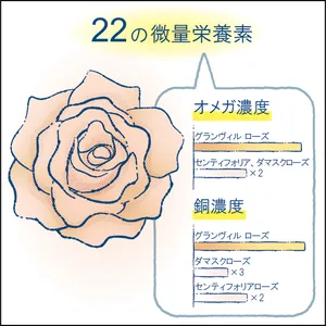 マキア　エイジングケア　おすすめ　DIOR ディオール プレステージ マイクロ セラム ユー ローズ オメガと銅