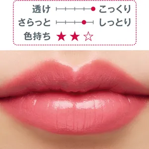 秋新色 リップ ツヤ口紅 TOM FORD BEAUTY スリム リップ カラー シャイン 13 2