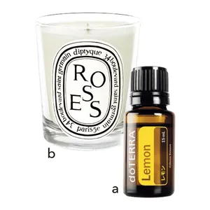 a ドテラ エッセンシャルオイル レモン 15ml ￥2700／doTERRA CPTG Essential Oils Japan　b ディプティック キャンドル ローズ 190g ￥9790／ディプティックジャパン