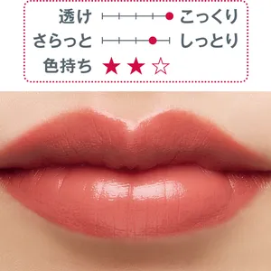 秋新色 リップ ツヤ口紅 RMK ベルベットシーン リップカラー 04 2