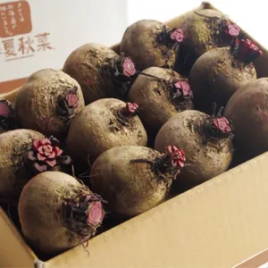 北海道・杉本農産のビーツ