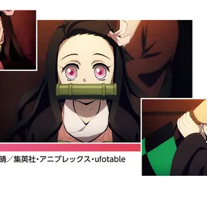 竈門禰豆子（かまどねずこ）