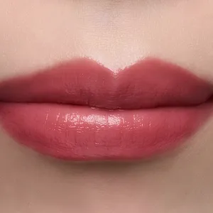 ブルベ冬 リップ おすすめ つけ試し スウォッチ ヴィセ Visee