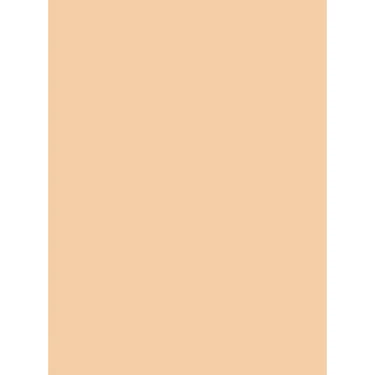 オルビス(ORBIS) カシミアフィットファンデーションN ナチュラル 01