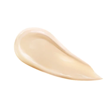 Wonjungyo(ウォンジョンヨ) プロ パーフェクティングクッション ナチュラル 02 19Y ペールイエロー