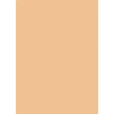 オルビス(ORBIS) カシミアフィットファンデーションN ナチュラル 02