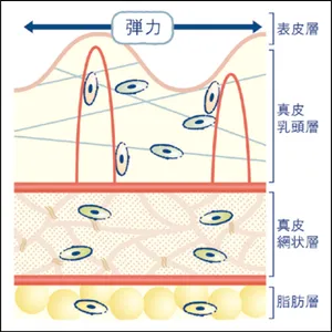 マキア　エイジングケア　おすすめ　オバジX　バイタライズ リフトクリーム　血管再生