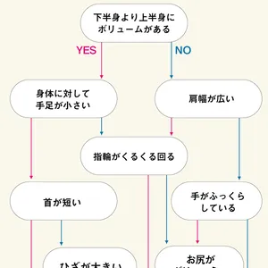 骨格診断