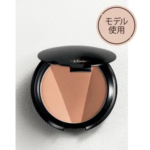 ヴィセ シェード トリック BR300