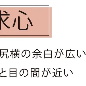 求心　面長　遠心　丸顔　小顔　小顔メイク　メイク