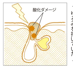 毛穴の酸化がゆるみを招いていた