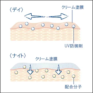 美容 成分 クリーム　カネボウ イン　デイII  クリーム　イン　ナイトII 3